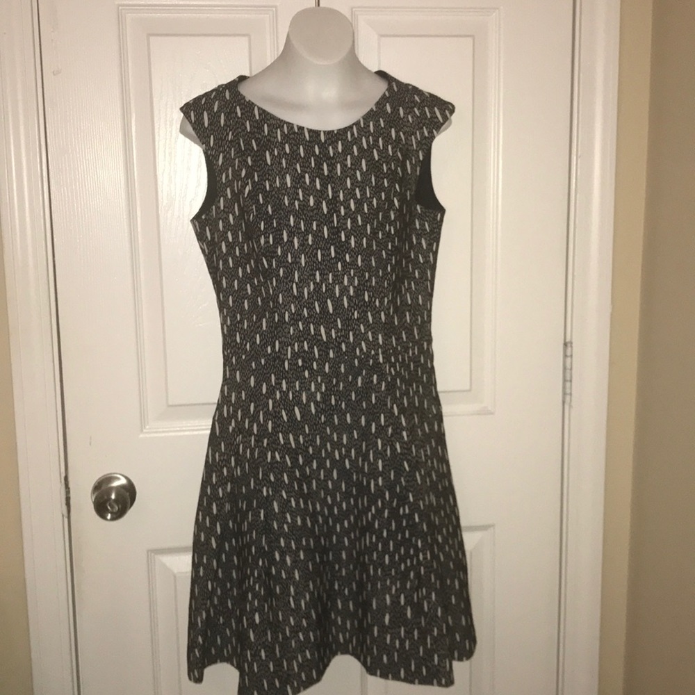 ZARA Black and Tan Dress